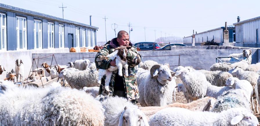 易地搬遷讓村民“住得好、能致富”
