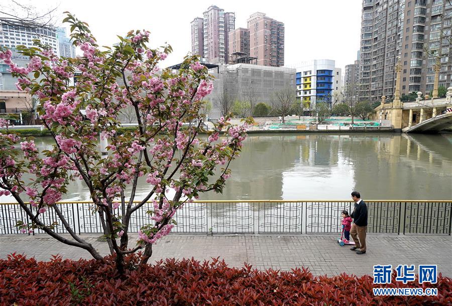 （新華全媒頭條·走向我們的小康生活·圖文互動）（12）城市，讓人民生活更美好