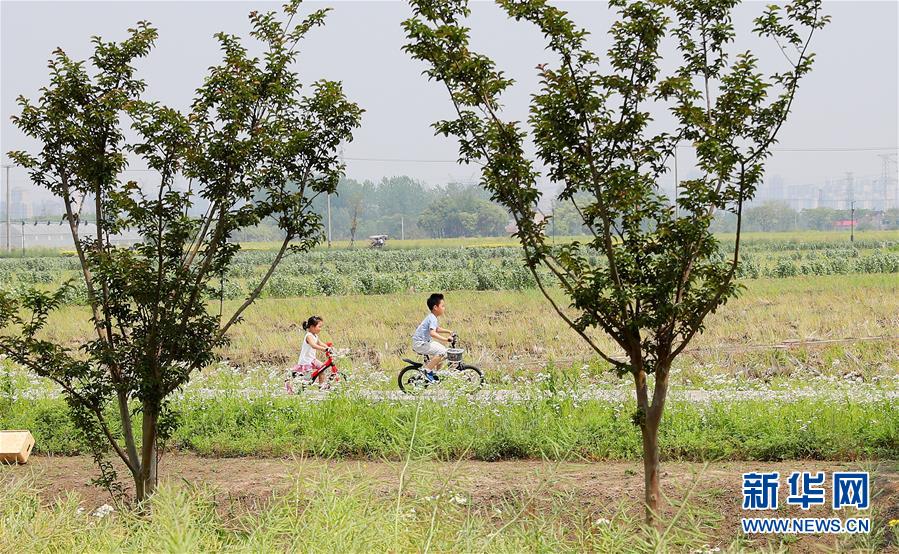 （新華全媒頭條·走向我們的小康生活·圖文互動）（14）城市，讓人民生活更美好