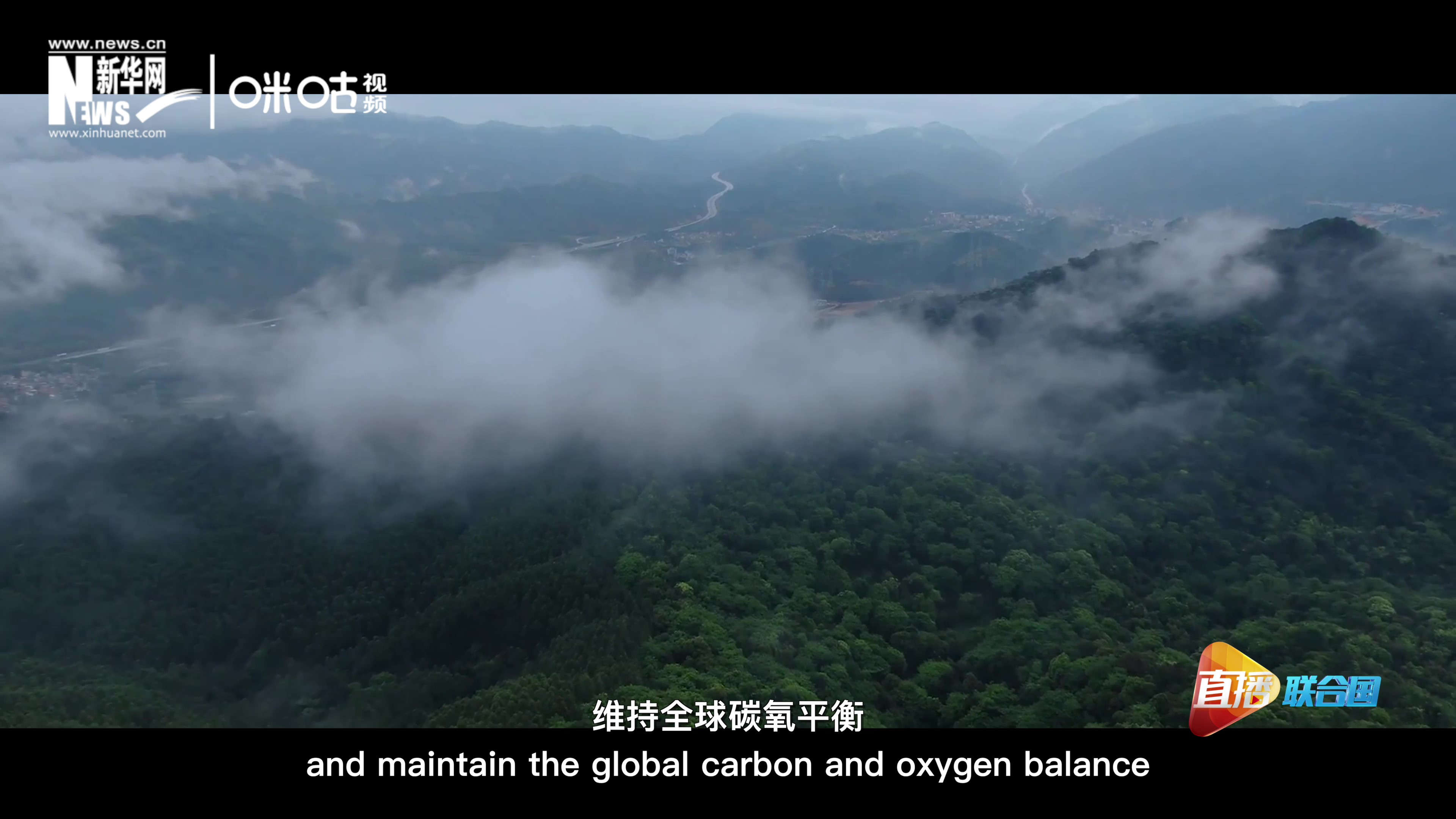 森林的碳匯可以協(xié)助減緩氣候變化，維持全球碳氧平衡
