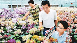 臺商眼中的改革開放：風(fēng)景這邊獨(dú)好 要去，要去，要去！