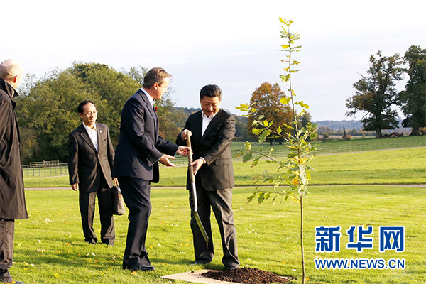 兩國領導人一同在別墅草坪，共同種下象征中英友誼的橡樹。新華社記者 鞠鵬 攝